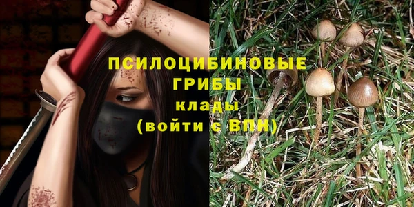 COCAINE Покачи